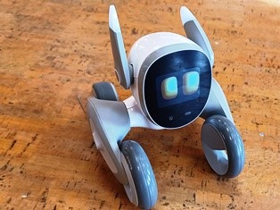 Roboti v ZŠ i MŠ