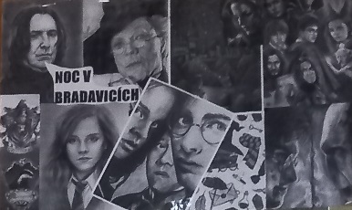 NOC V BRADAVICÍCH