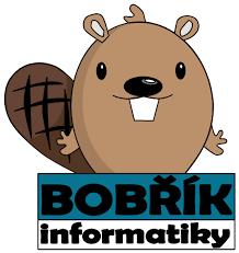 Bobřík informatiky